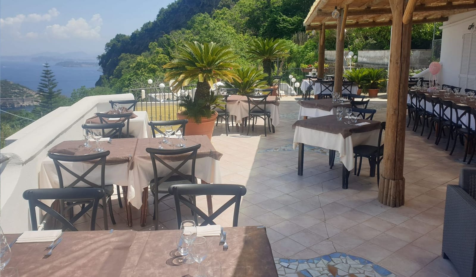 I vini di Ischia da abbinare al coniglio all'ischitana